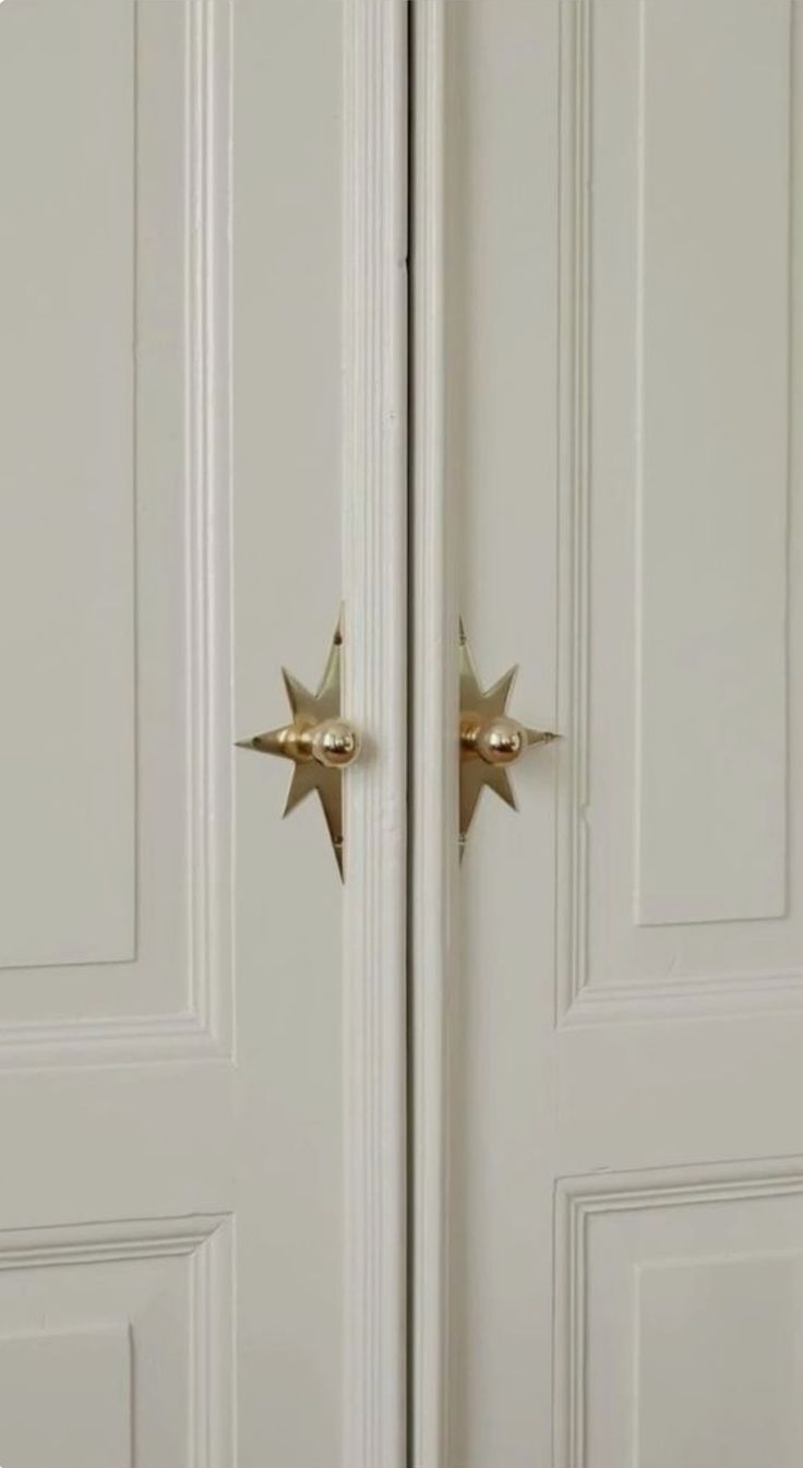 Star-shaped brass door pulls on paneled cabinet doors